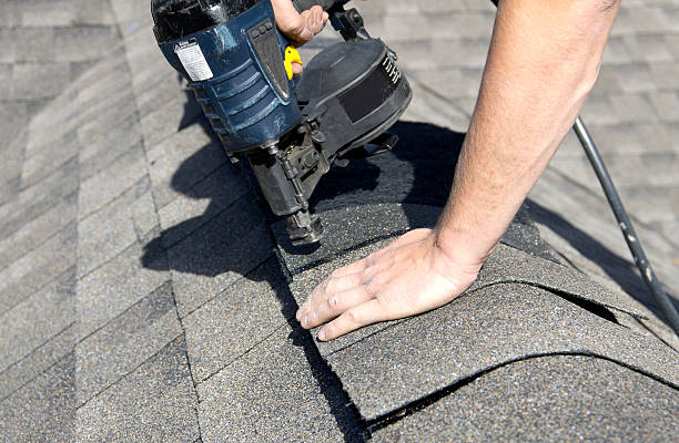 Best Roof Moss and Algae Removal  in West Burlington, IA